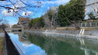 Thumbnail of new posts 122