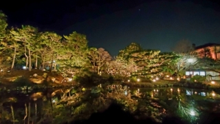 Thumbnail of new posts 016