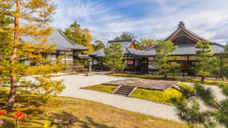 Thumbnail of new posts 050