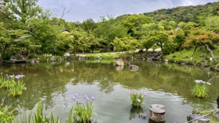 Thumbnail of new posts 054