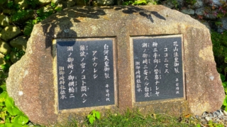 Thumbnail of new posts 132