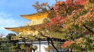 Thumbnail of new posts 018