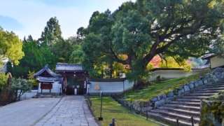 Thumbnail of new posts 132