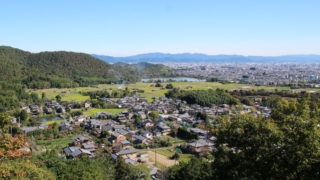 Thumbnail of new posts 041