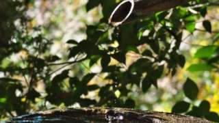 Thumbnail of new posts 145