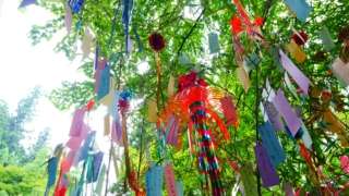 Thumbnail of new posts 076