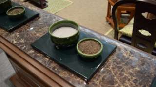 Thumbnail of new posts 177