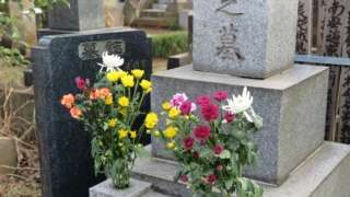 Thumbnail of new posts 185