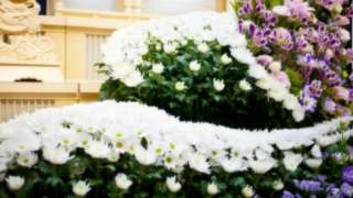 Thumbnail of new posts 128