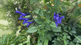 Thumbnail of new posts 149