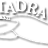 喫茶マドラグ　la madrague official site