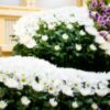 第125回 父を見送った師走の朝|京都での家族葬の準備と、支えてくれた人々への感謝#1